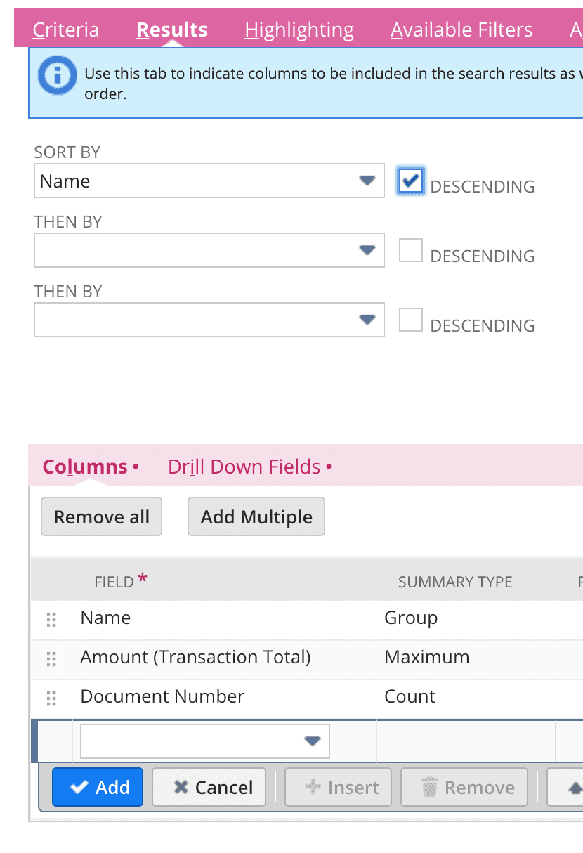 NetSuite interface in table in Results tab with the 3 rows created Name, Amount and Document Number