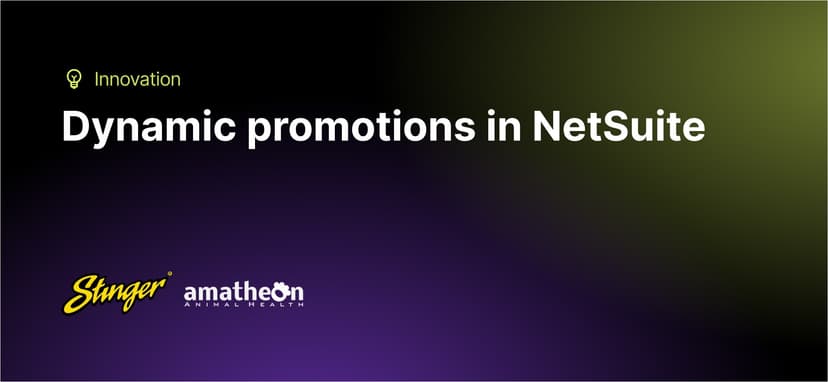 SuiteCommerce Dynamic Promotions: Stinger & Amatheon
