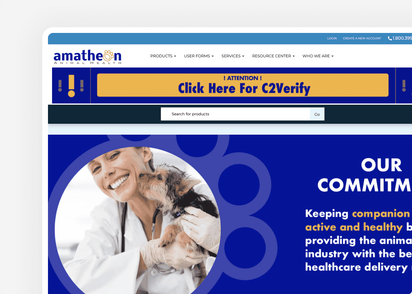 Screenshot of the website of our client  Amatheon