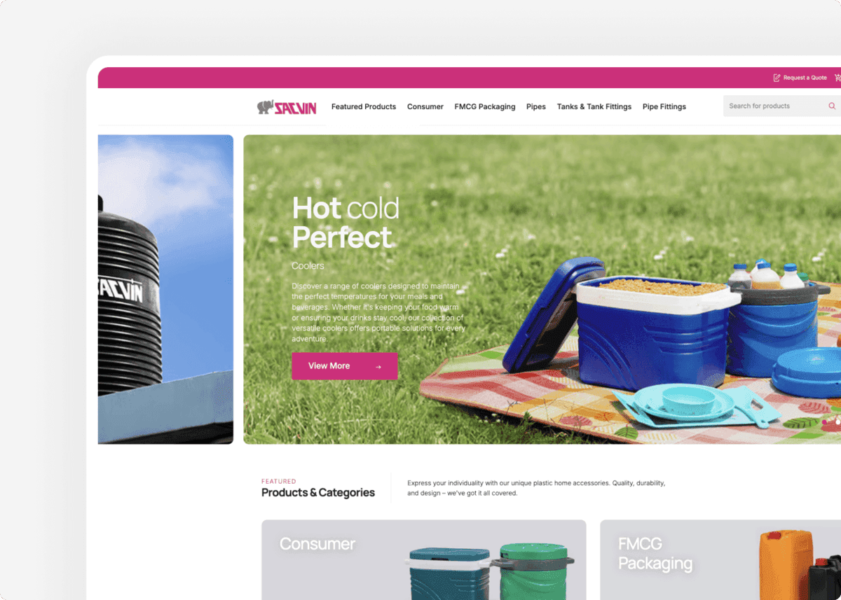 Screenshot of the website of our client Sacvin