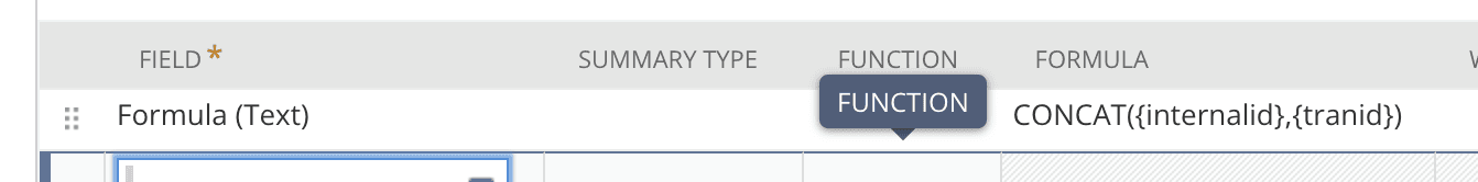NetSuite interface in table with created formula