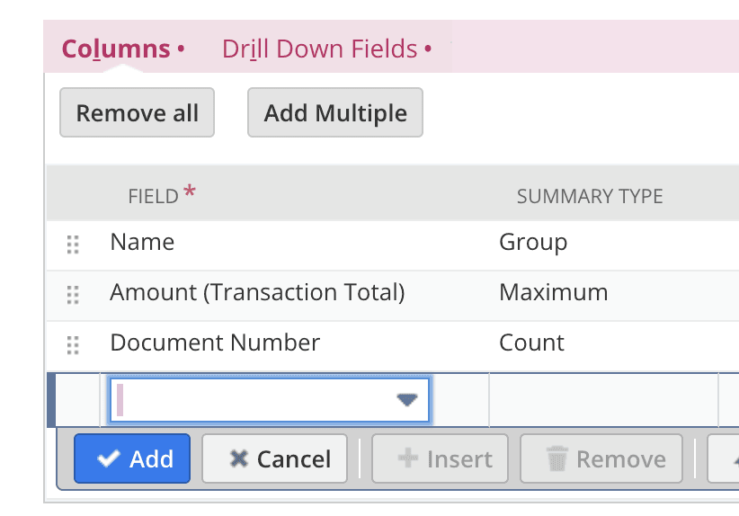 NetSuite interface in table with 3 rows: Name type Group, Amount type Maximum, Document Number type Count